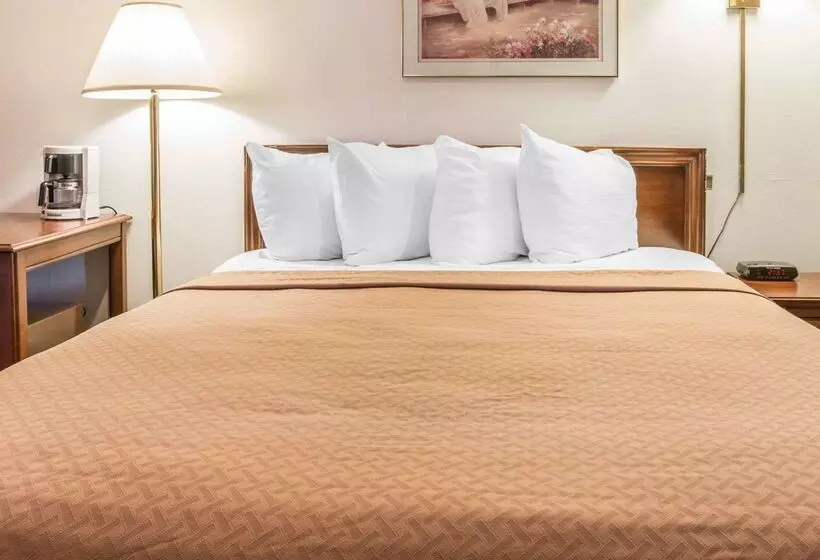 Otel Quality Inn & Suites Beachfront