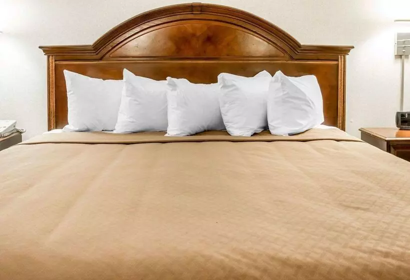 Otel Quality Inn & Suites Beachfront