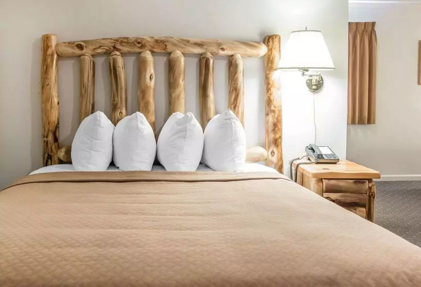 Otel Quality Inn & Suites Beachfront