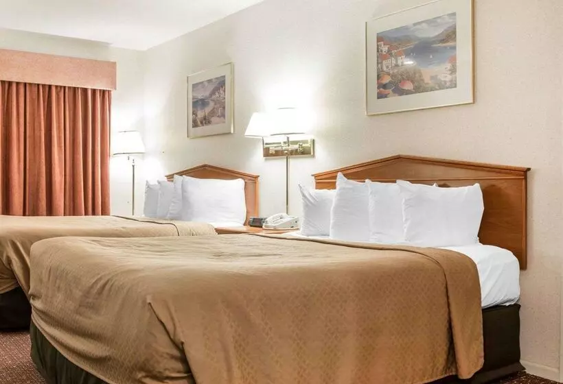 Otel Quality Inn & Suites Beachfront