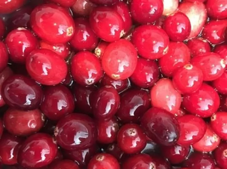 酒店 Queen Anne Inn