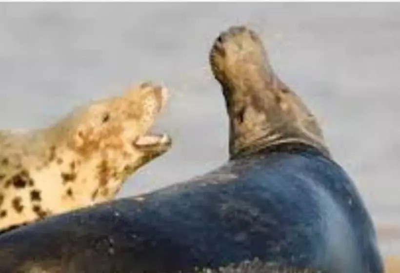 酒店 Queen Anne Inn