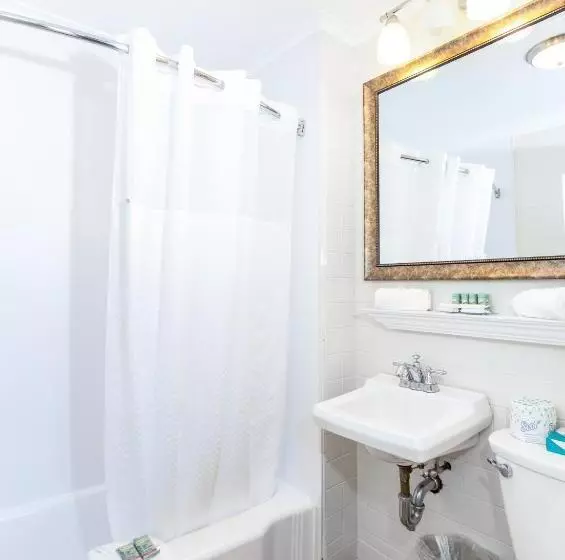 酒店 Provincetown Inn