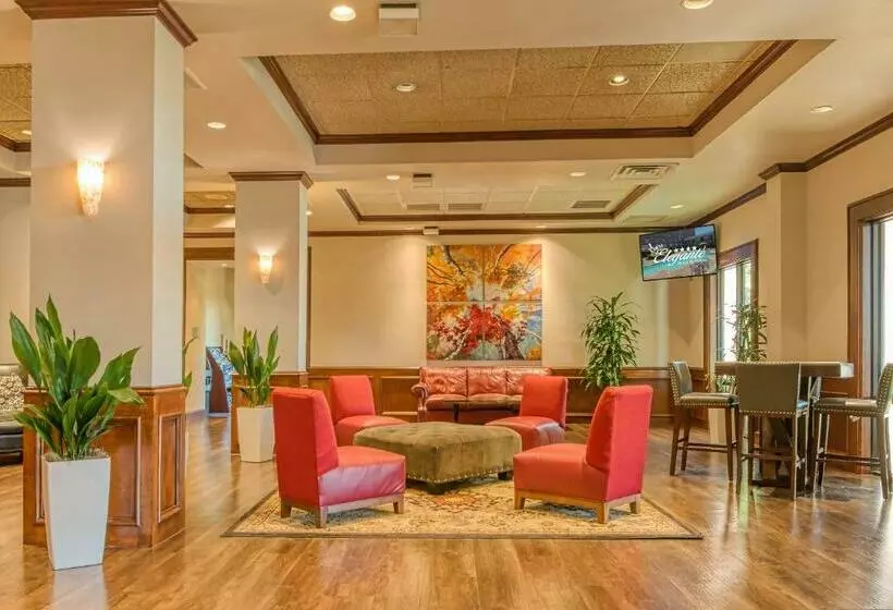 Hotelli Mcm Elegante  And Suites – Dallas