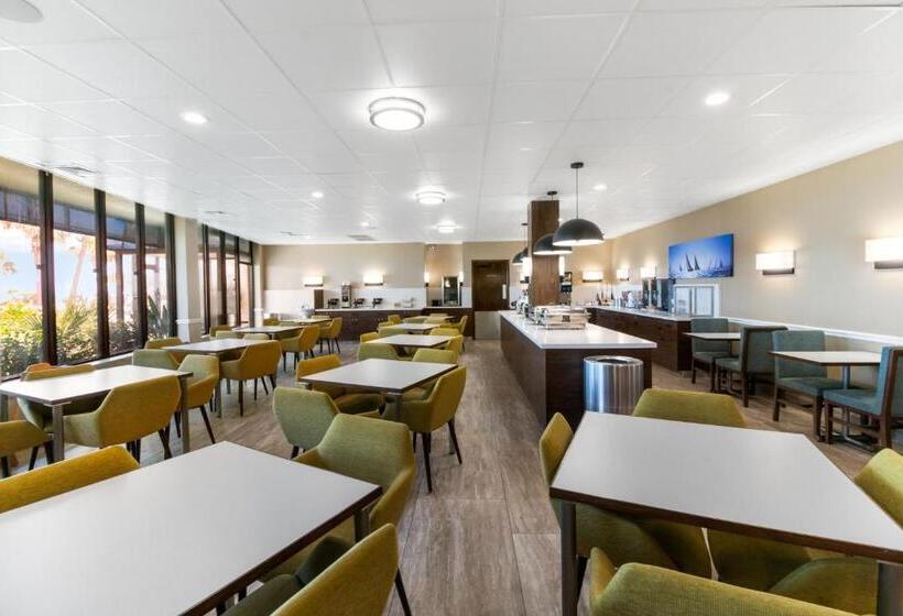 Beachfront Palms Hotel Galveston