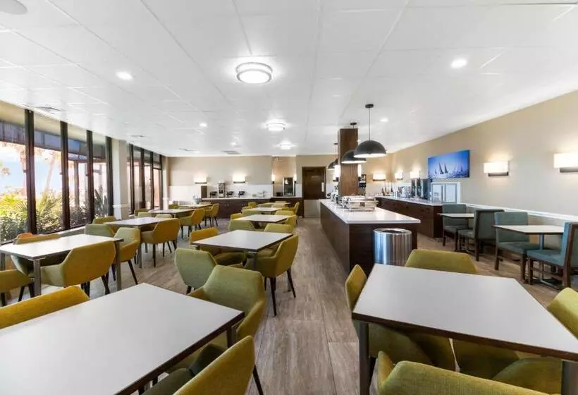 Beachfront Palms Hotel Galveston