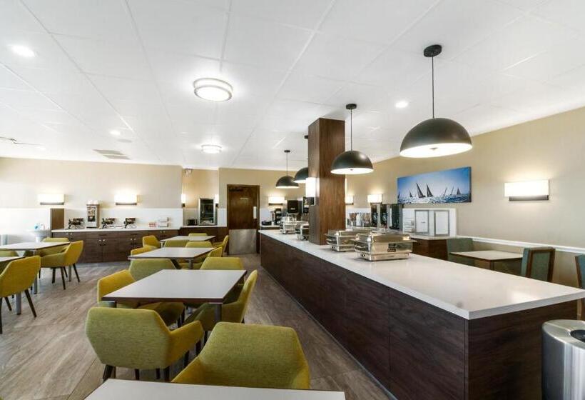 Beachfront Palms Hotel Galveston