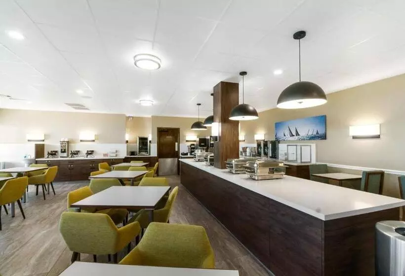 Beachfront Palms Hotel Galveston