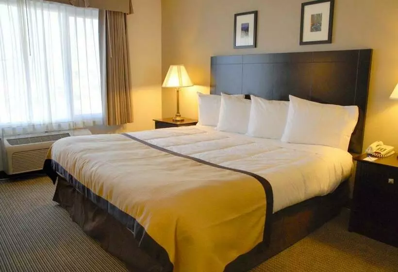 Hotel Baymont By Wyndham Reno