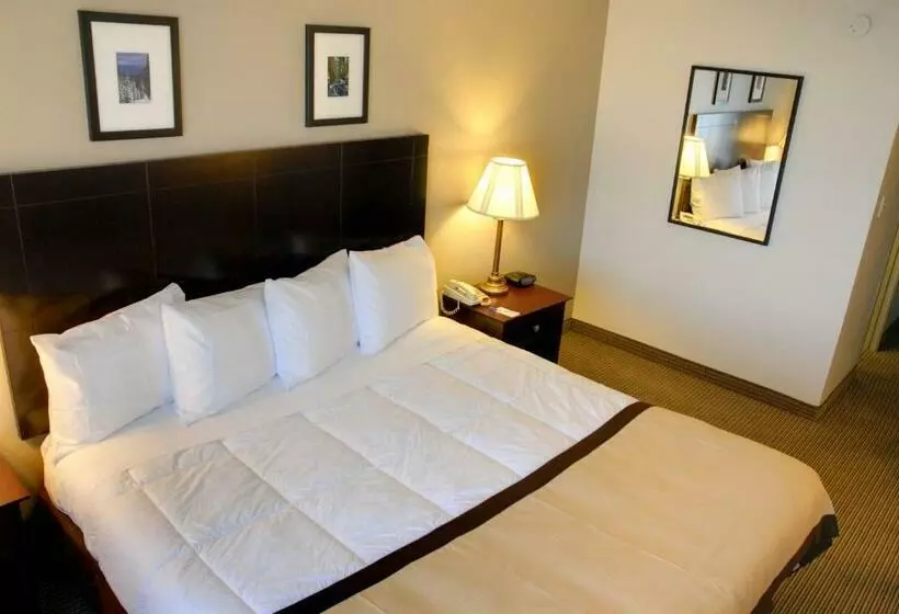 Hotel Baymont By Wyndham Reno