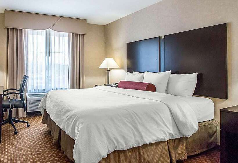 בית מלון כפרי Clarion Inn Elmhurst  Oak Brook Near I88, I290, I294