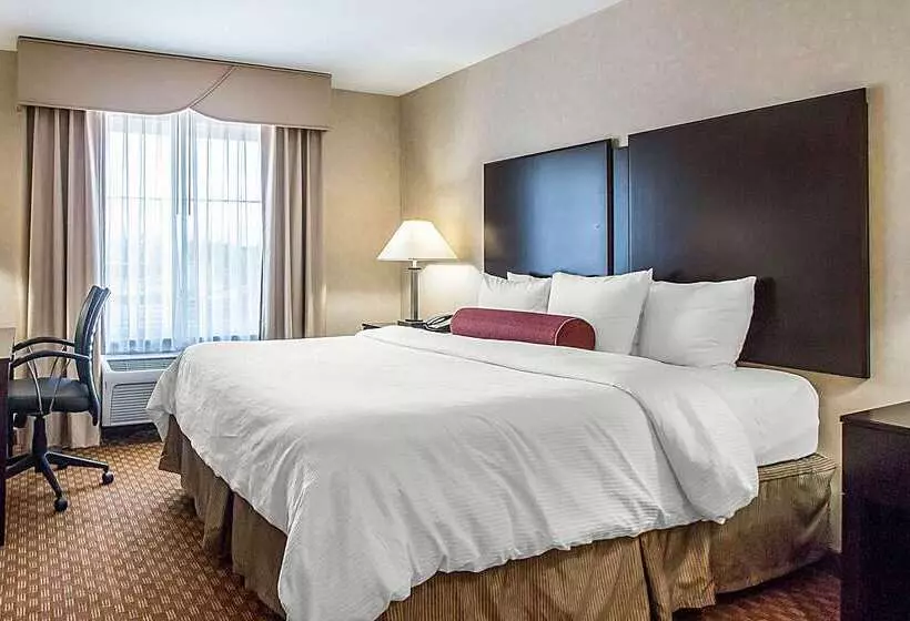 호텔 Clarion Inn Elmhurst  Oak Brook Near I88, I290, I294