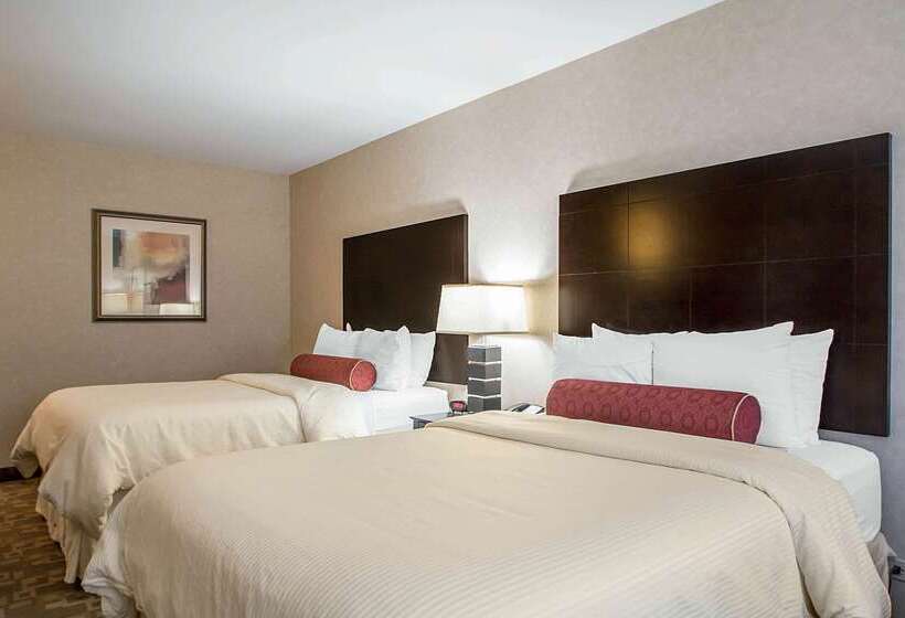 בית מלון כפרי Clarion Inn Elmhurst  Oak Brook Near I88, I290, I294