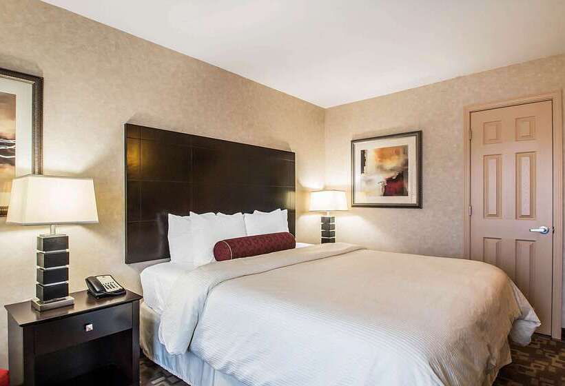 בית מלון כפרי Clarion Inn Elmhurst  Oak Brook Near I88, I290, I294