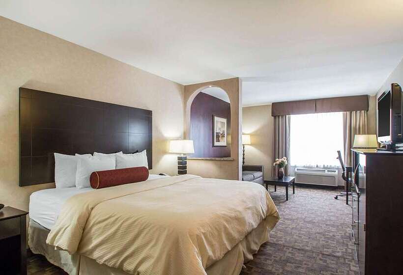 בית מלון כפרי Clarion Inn Elmhurst  Oak Brook Near I88, I290, I294