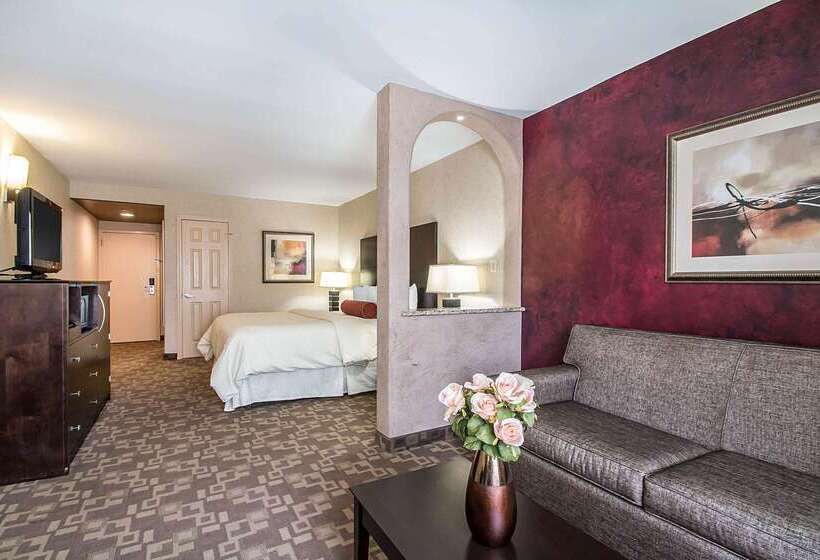 בית מלון כפרי Clarion Inn Elmhurst  Oak Brook Near I88, I290, I294