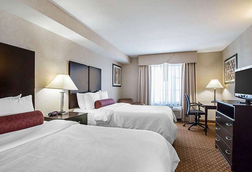 בית מלון כפרי Clarion Inn Elmhurst  Oak Brook Near I88, I290, I294