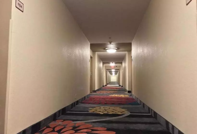 酒店 Ramada Plaza By Wyndham Louisville & Conference Center