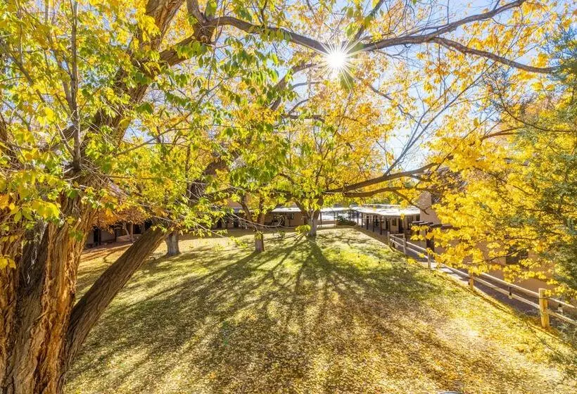 酒店 Sagebrush Inn & Suites