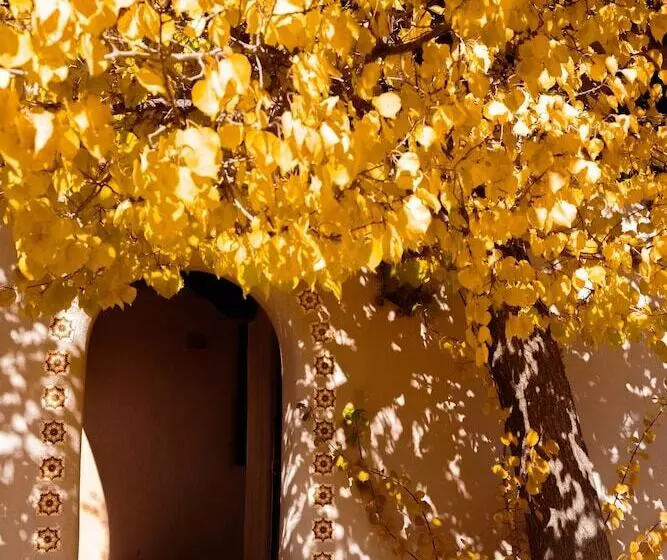 酒店 Sagebrush Inn & Suites