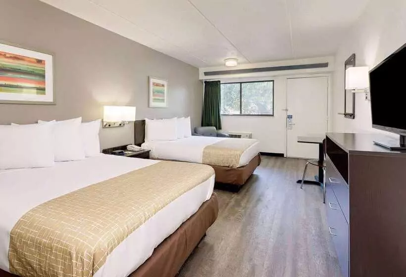 モーテル Travelodge By Wyndham College Park