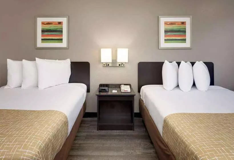 モーテル Travelodge By Wyndham College Park