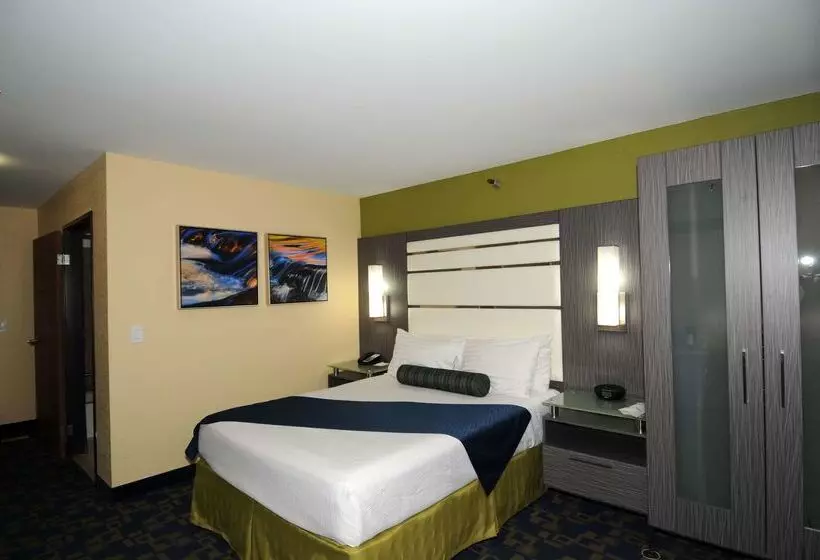 酒店 Best Western Antelope Inn & Suites