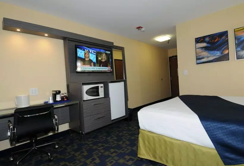 酒店 Best Western Antelope Inn & Suites