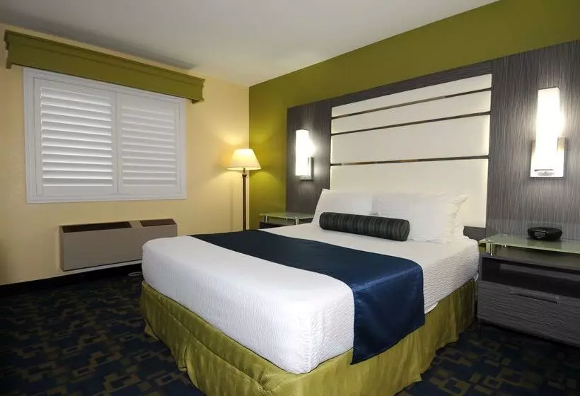 酒店 Best Western Antelope Inn & Suites