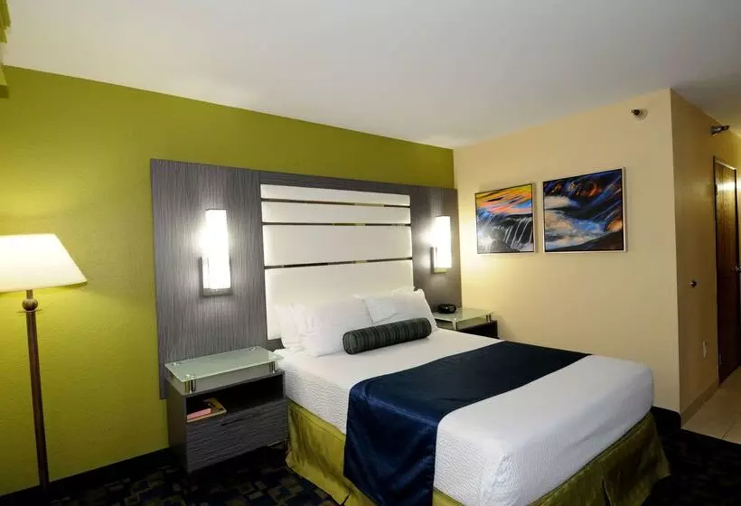 酒店 Best Western Antelope Inn & Suites