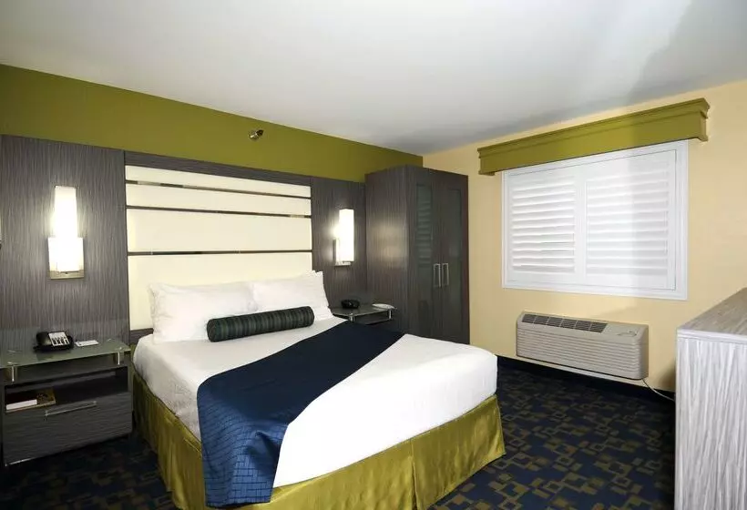 酒店 Best Western Antelope Inn & Suites