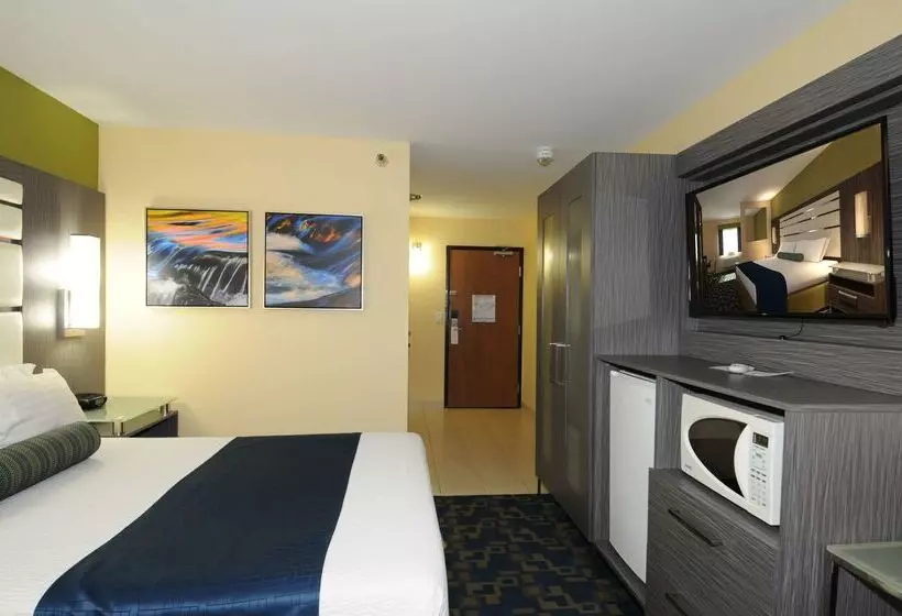 酒店 Best Western Antelope Inn & Suites