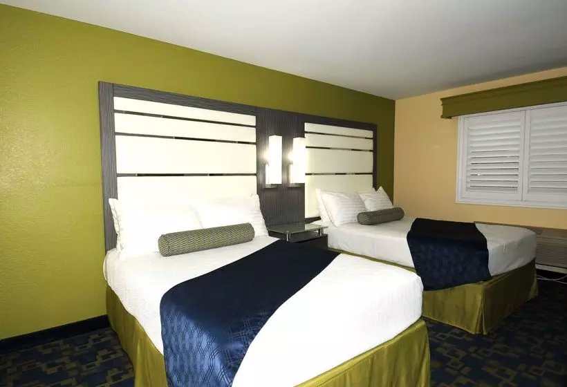 酒店 Best Western Antelope Inn & Suites