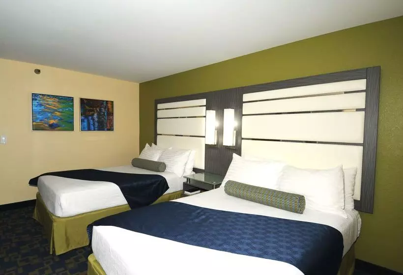 酒店 Best Western Antelope Inn & Suites