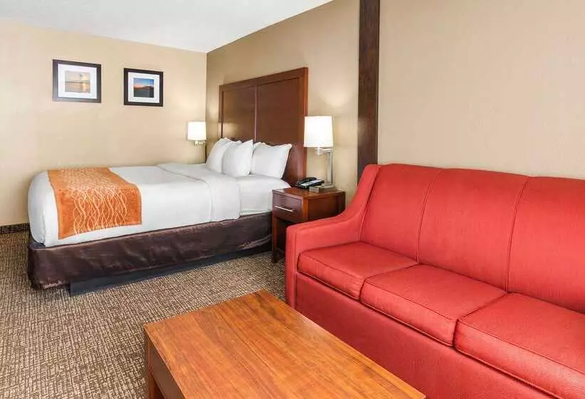هتل Comfort Inn & Suites Vancouver Downtown City Center