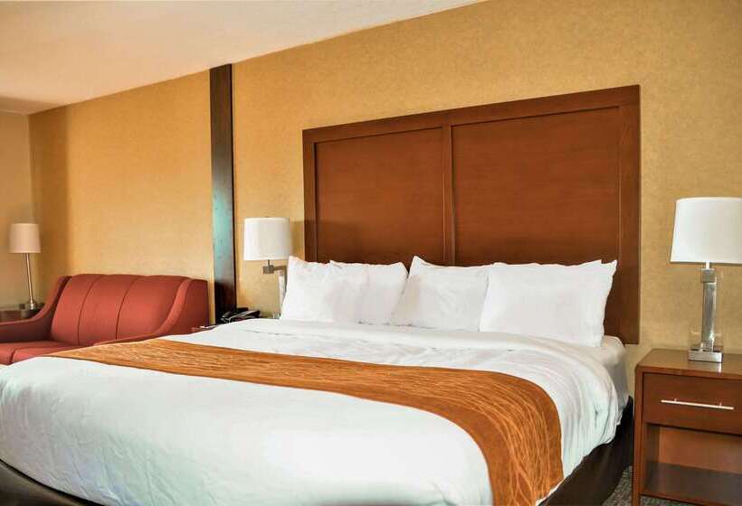 בית מלון כפרי Comfort Inn & Suites Vancouver Downtown City Center