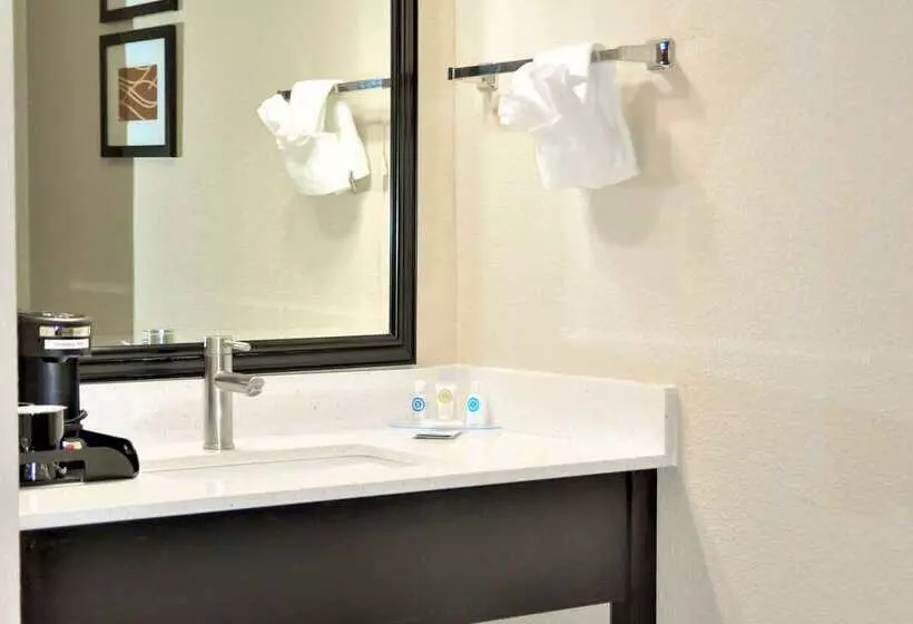 هتل Comfort Inn & Suites Vancouver Downtown City Center