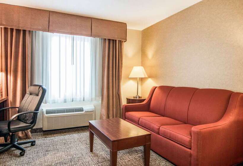בית מלון כפרי Comfort Inn & Suites Vancouver Downtown City Center