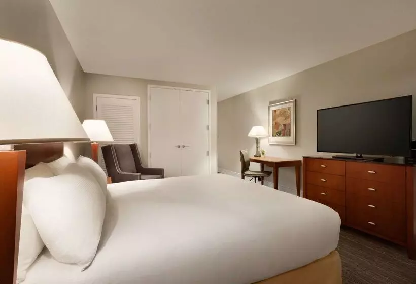 ホテル Doubletree By Hilton Minneapolis Park Place