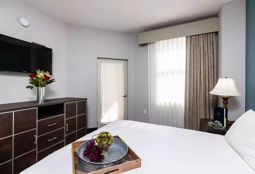 Hotel Inn At The Colonnade Baltimore A Doubletree By Hilton