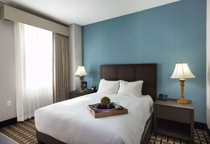 Hotel Inn At The Colonnade Baltimore A Doubletree By Hilton