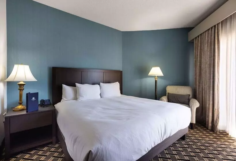 Hotel Inn At The Colonnade Baltimore A Doubletree By Hilton