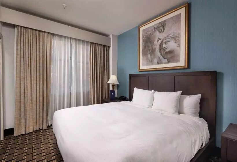 Hotel Inn At The Colonnade Baltimore A Doubletree By Hilton