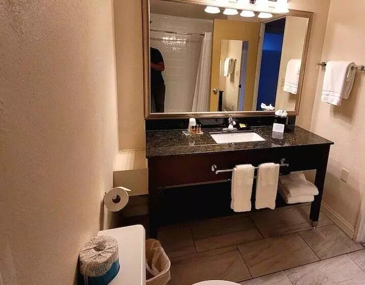 Seville Plaza Hotel, Trademark Collection By Wyndham