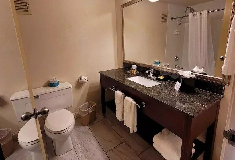 Seville Plaza Hotel, Trademark Collection By Wyndham