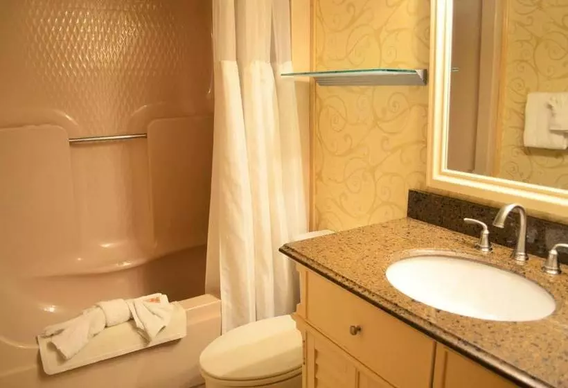 호텔 Sun Viking Lodge Daytona Beach