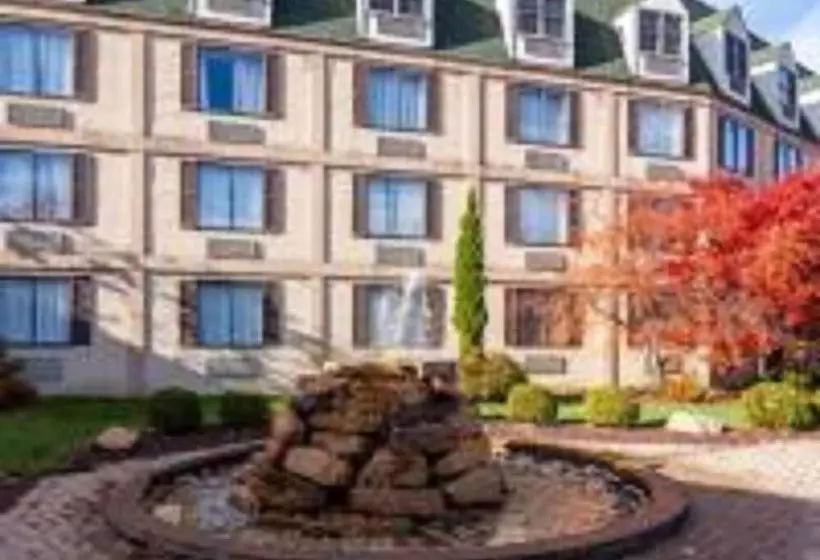 酒店 The Chateau Resort