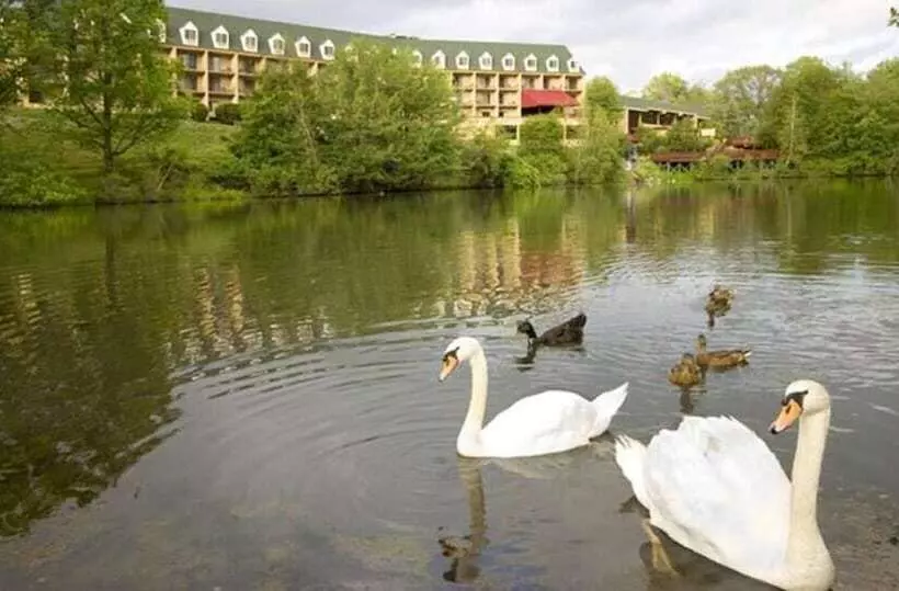 酒店 The Chateau Resort