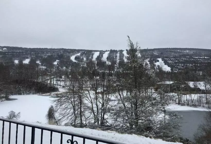 酒店 The Chateau Resort