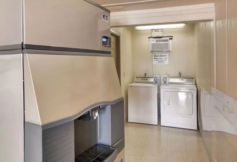 モーテル Loyalty Inn Gainesville